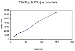 Eurofins DiscoverX Cdk6/Cyclin D3 Protein, Active 250 &mu;g | Buy Online | Eurofins DiscoverX | Fisher Scientific